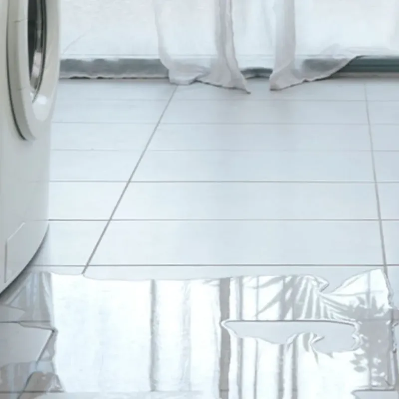 Appliance Leak Cleanup in Glenview, IL