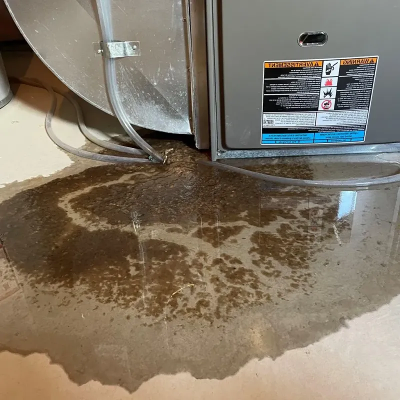 Pipe Burst and Leak Restoration in Glenview, IL